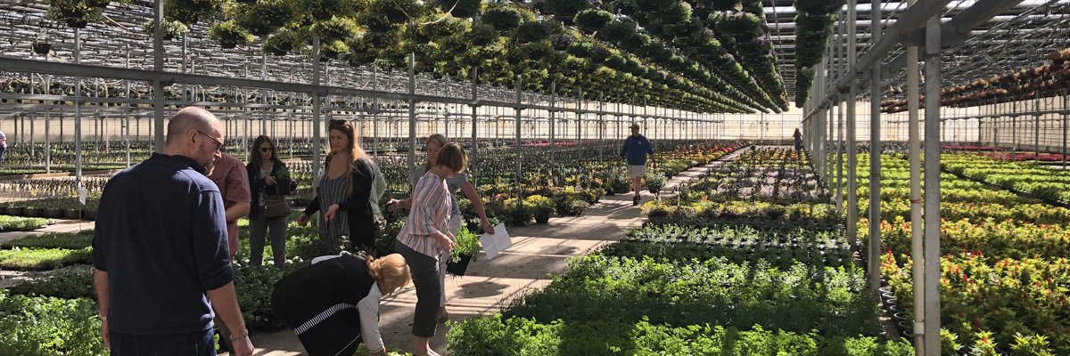 inside Dutch Heritage Gardens during the epic plant grab